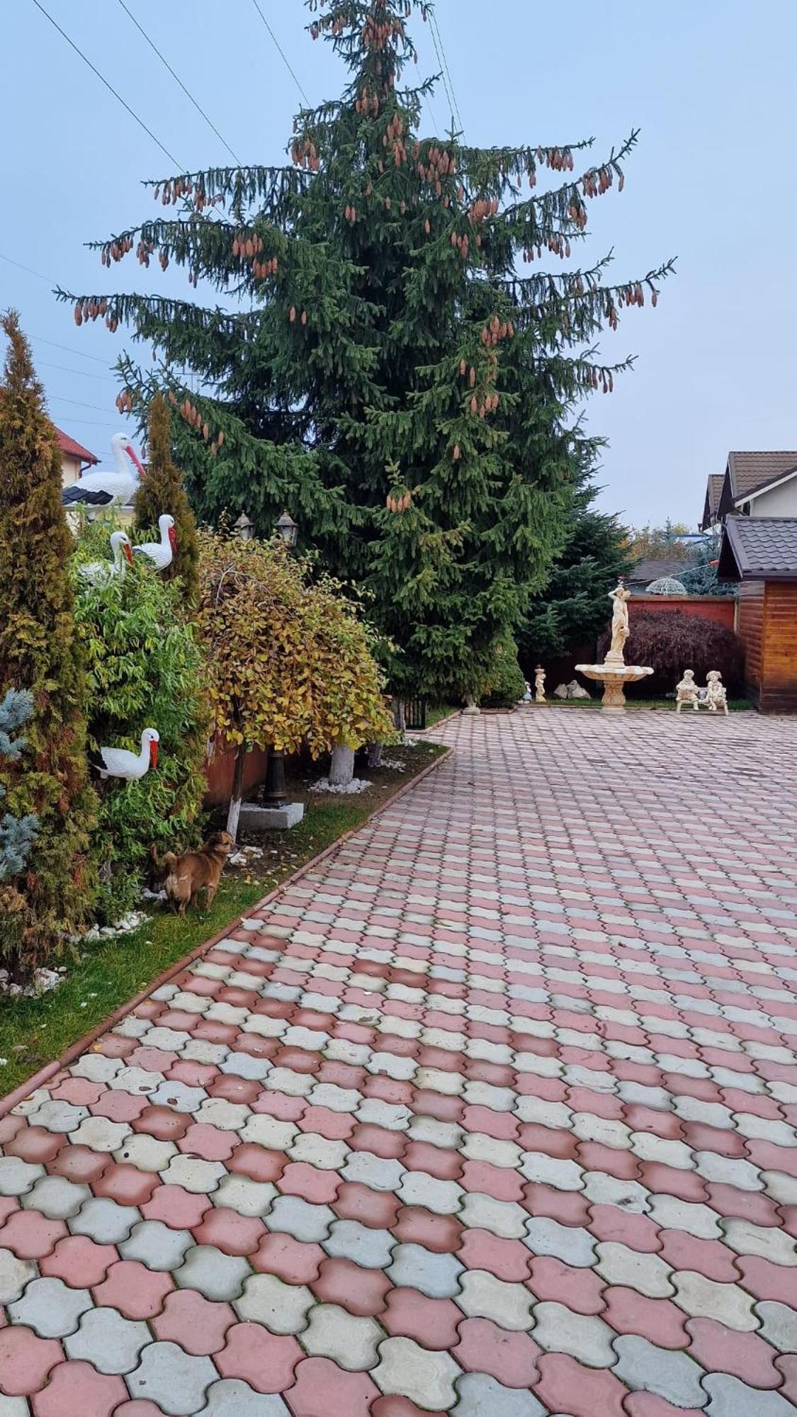 Pensiunea Toma Ploiesti Luaran gambar